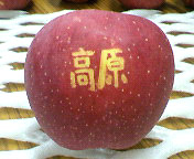 文字入れリンゴ(高原)