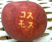 文字入れリンゴ(コスモス)
